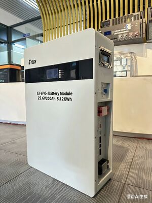 51.2V 100Ah House Power Energy Storage Lithium Battery System With Smart BMS 