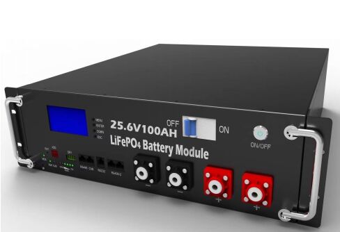 LiFePO4 Battery Pack 25.6V 100Ah 2.56KWh Rack Mounted Energy Storage Battery for UPS Power Station