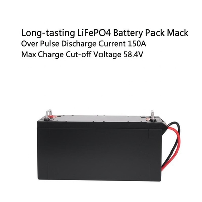 Long-lasting LiFePO4 Battery Pack with Over 6000 Cycles Max.Pulse Discharge Current 150A Max Charge Cut-off Voltage 58.4V